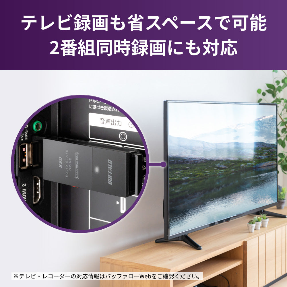 整備済・再生品》SSD-SCH1.0U3-BA(保証1年) – buffalo-direct